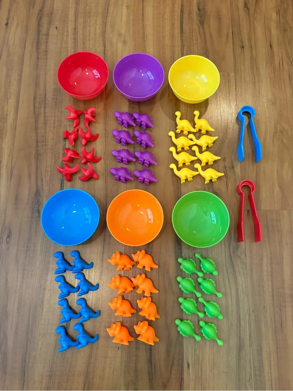 Dinosaur Sorting Set